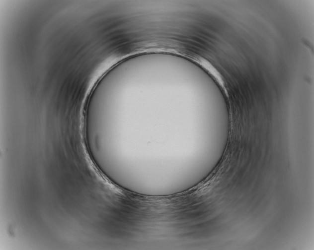 X0000096661096200803041156