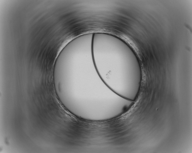 X0000096661097200803041156