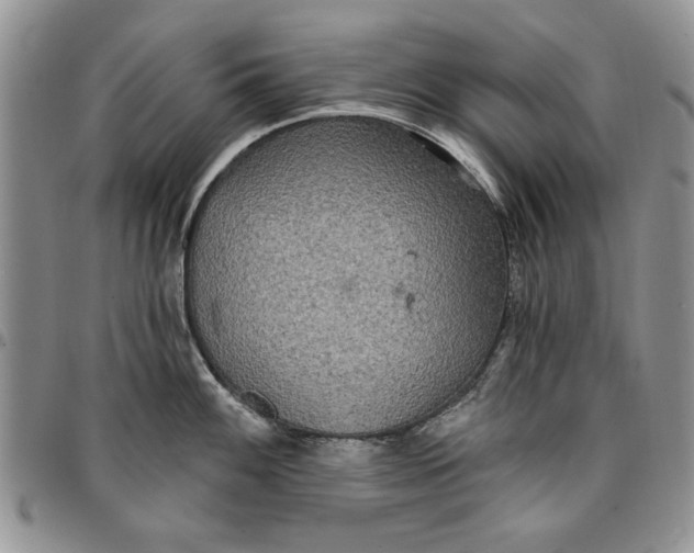 X0000096661100200803041155