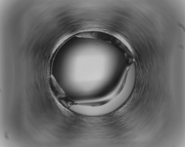 X0000096661101200803041155