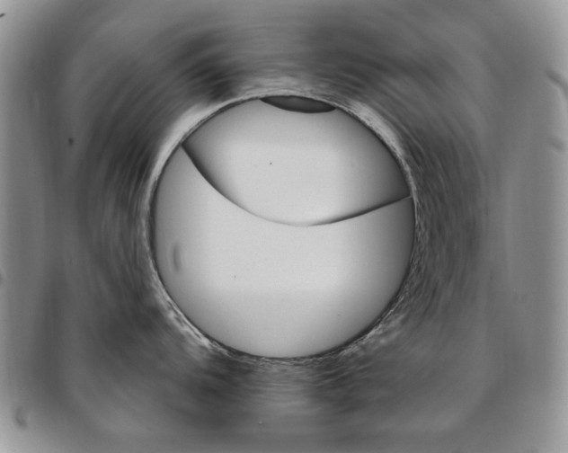 X0000096661104200803041155