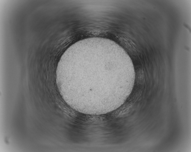 X0000096661105200803041155