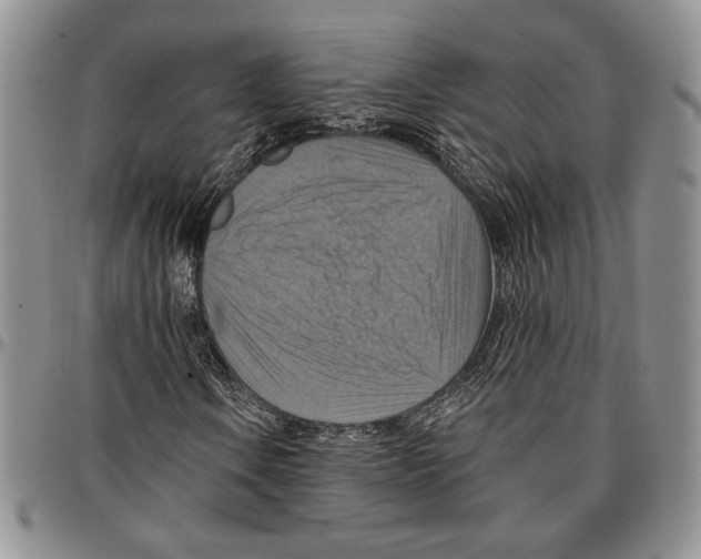 X0000096661106200803041155