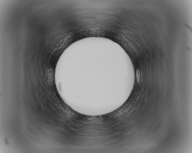 X0000096661107200803041155