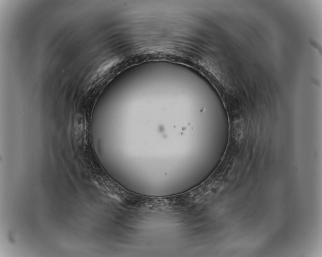 X0000096661111200803041155