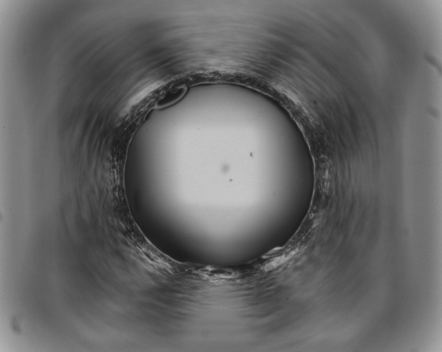 X0000096661112200803041155