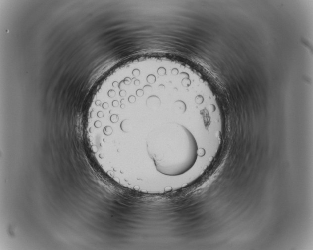 X0000096661113200803041155