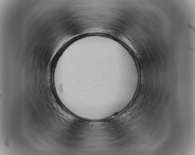 X0000096661116200803041155