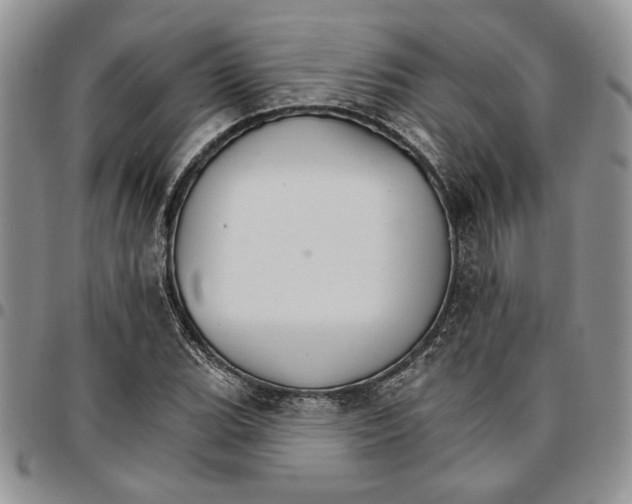 X0000096661119200803041155