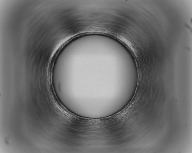 X0000096661120200803041155