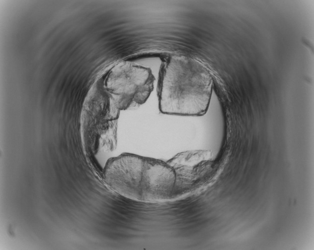 X0000096661121200803041155