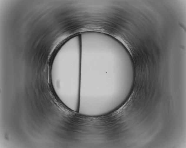 X0000096661123200803041155