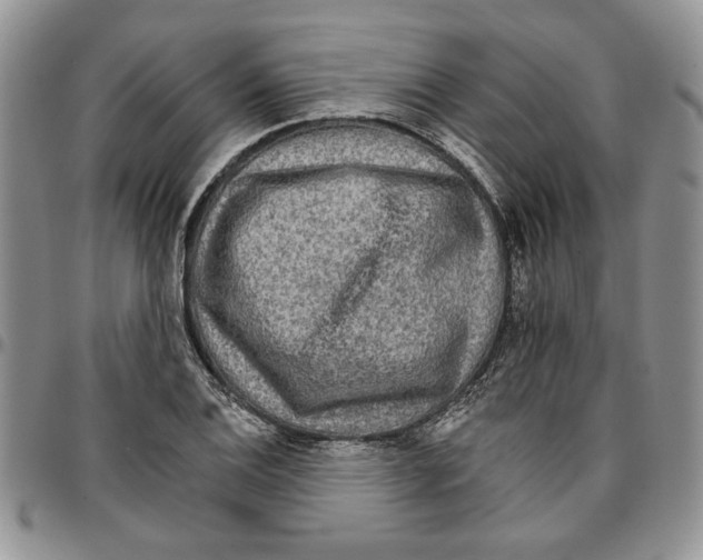 X0000096661124200803041155