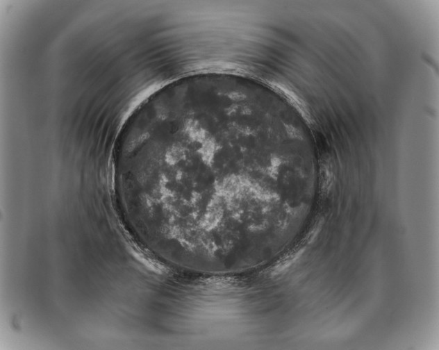 X0000096661125200803041155