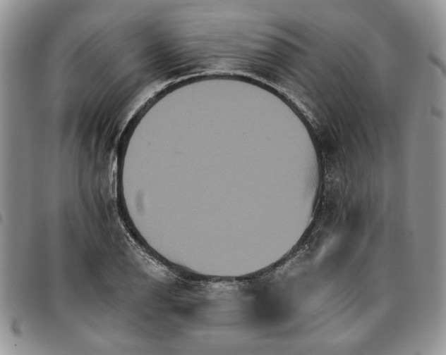 X0000096661126200803041155