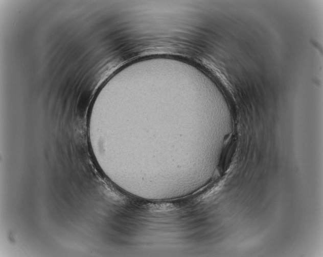 X0000096661129200803041155