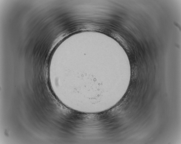 X0000096661130200803041155