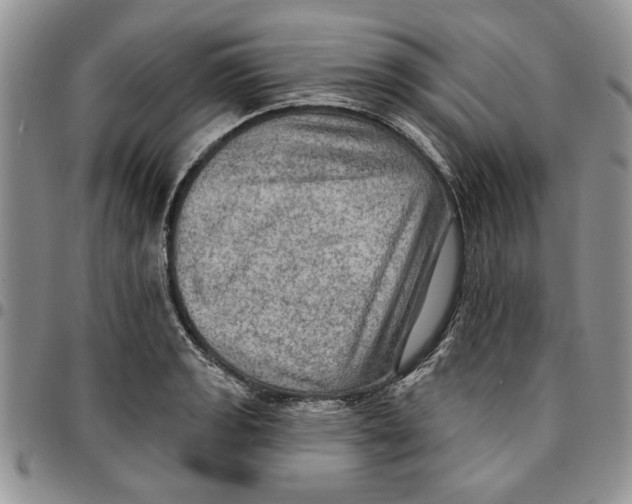 X0000096661133200803041155