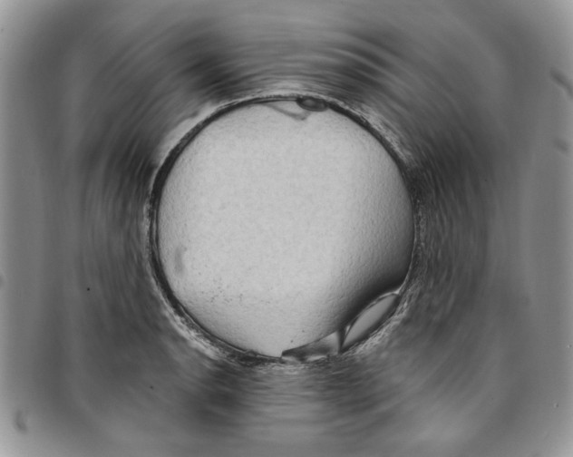 X0000096661134200803041155