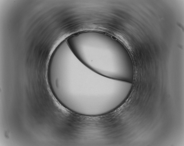 X0000096661136200803041155