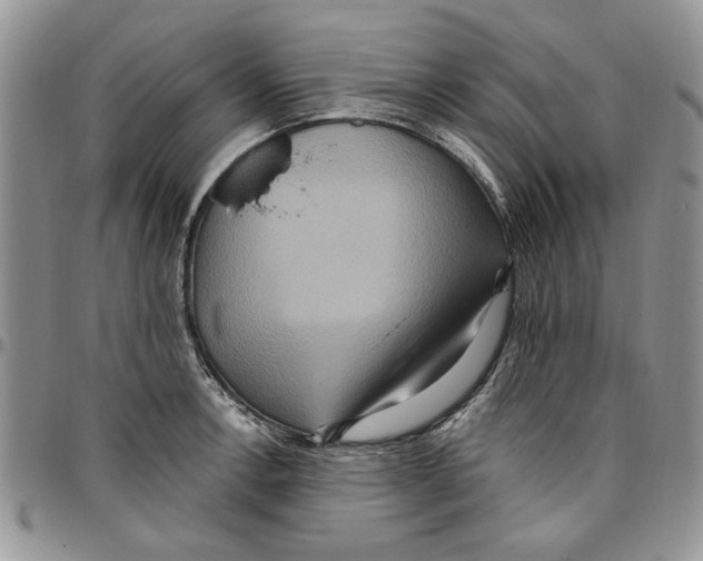 X0000096661138200803041155