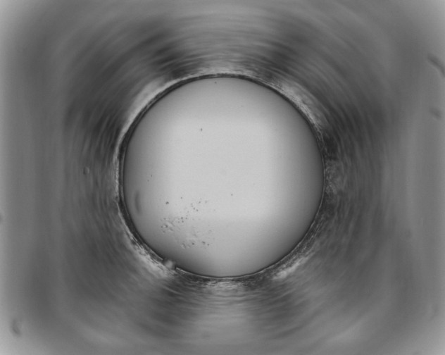 X0000096661140200803041155