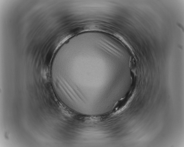 X0000096661145200803041155