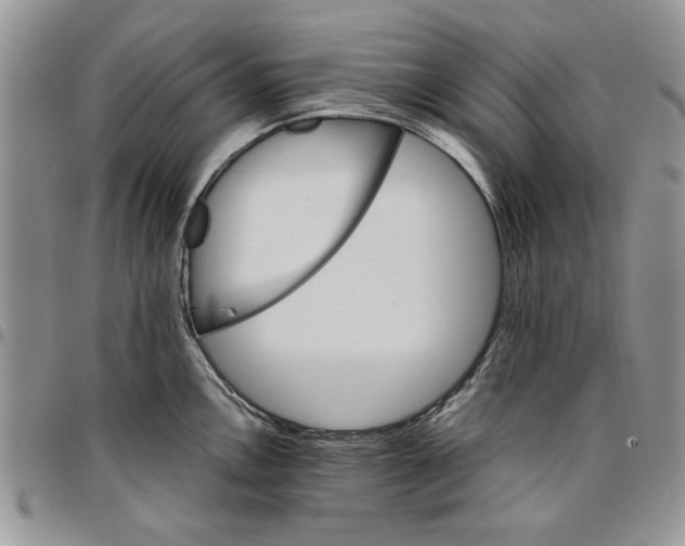 X0000096661146200803041155