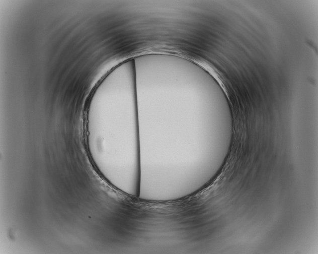 X0000096661147200803041155