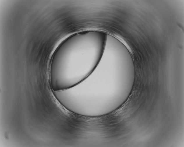 X0000096661148200803041155