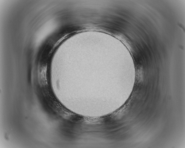 X0000096661150200803041155