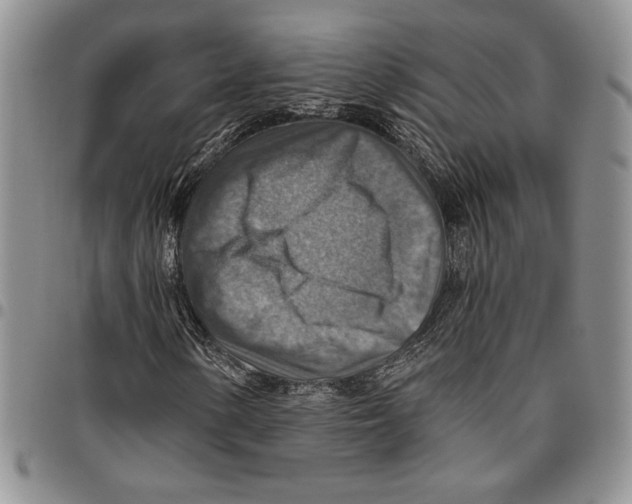 X0000096661154200803041155