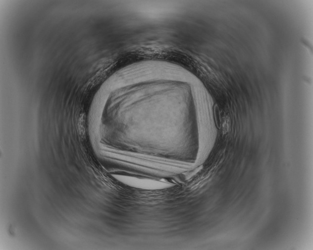 X0000096661156200803041155