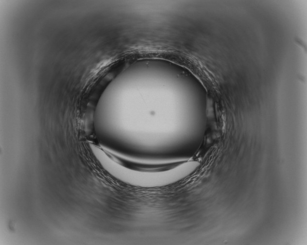 X0000096661157200803041155