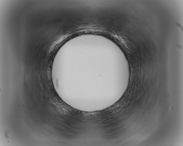 X0000096661159200803041155