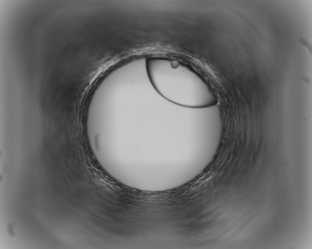 X0000096661160200803041155