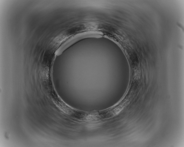 X0000096661161200803041155