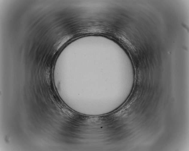 X0000096661162200803041155