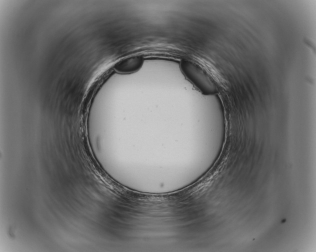 X0000096661164200803041155