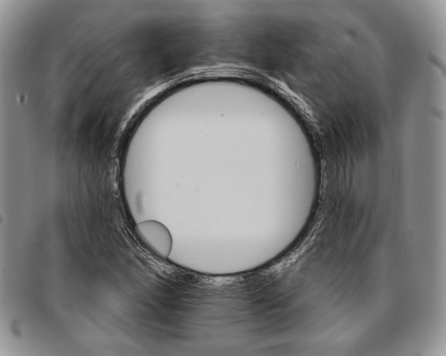 X0000096661166200803041155