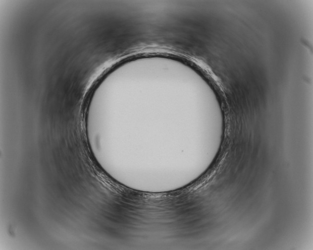 X0000096661167200803041155