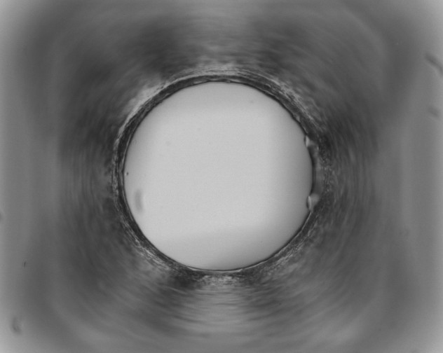 X0000096661168200803041155