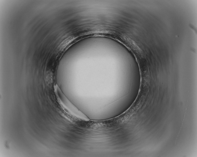 X0000096661169200803041155