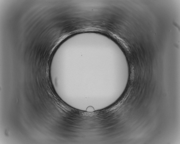 X0000096661170200803041155