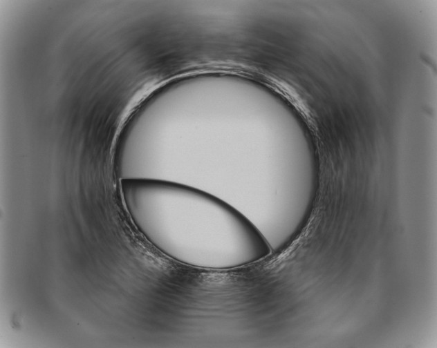 X0000096661172200803041154