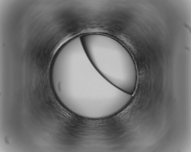 X0000096661173200803041154