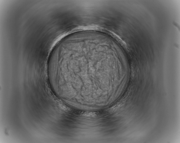 X0000096661174200803041154