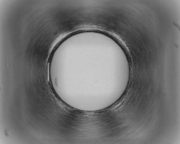 X0000096661175200803041154