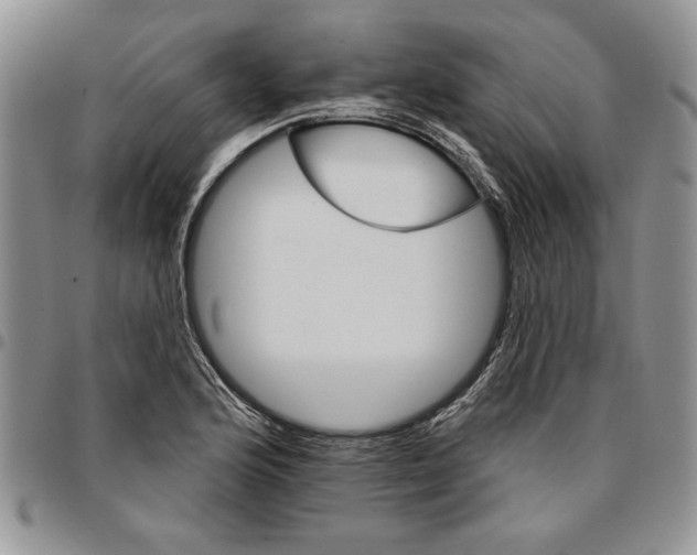 X0000096661176200803041154