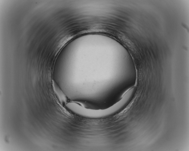 X0000096661177200803041154